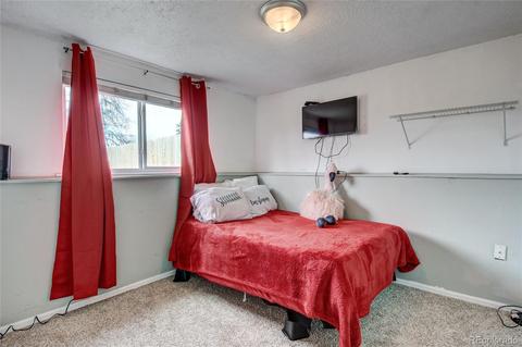 3443 E 119th Pl, Thornton, CO 80233 photo 21
