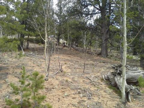 83 Appleby St, Bailey, CO 80421 photo 9