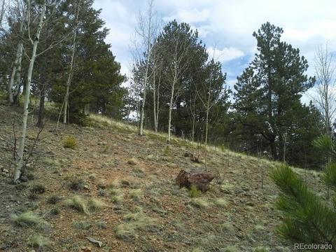 83 Appleby St, Bailey, CO 80421 photo 7