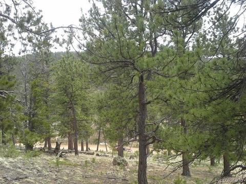 83 Appleby St, Bailey, CO 80421 photo 1