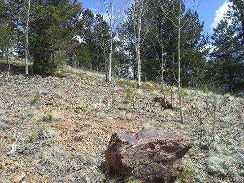 83 Appleby St, Bailey, CO 80421 photo 5