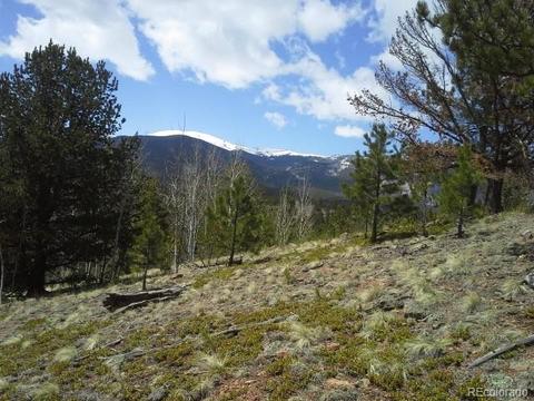 83 Appleby St, Bailey, CO 80421 photo 3