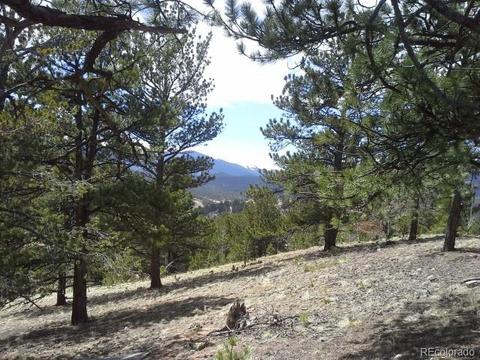 83 Appleby St, Bailey, CO 80421 photo 12