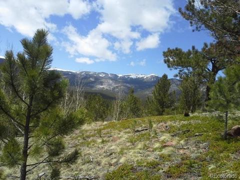 83 Appleby St, Bailey, CO 80421 photo 4
