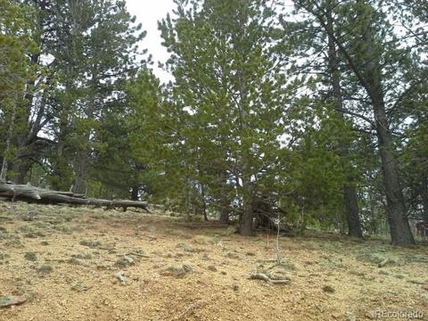 83 Appleby St, Bailey, CO 80421 photo 10