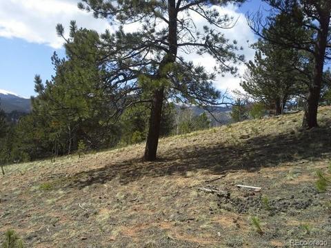 83 Appleby St, Bailey, CO 80421 photo 15