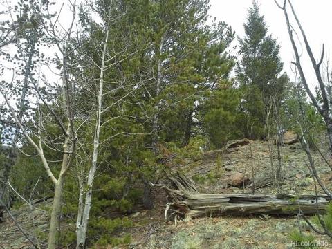 83 Appleby St, Bailey, CO 80421 photo 8