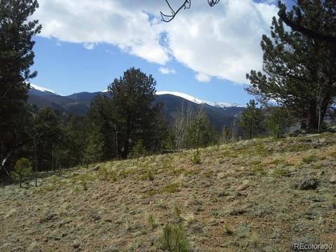 83 Appleby St, Bailey, CO 80421 photo 16