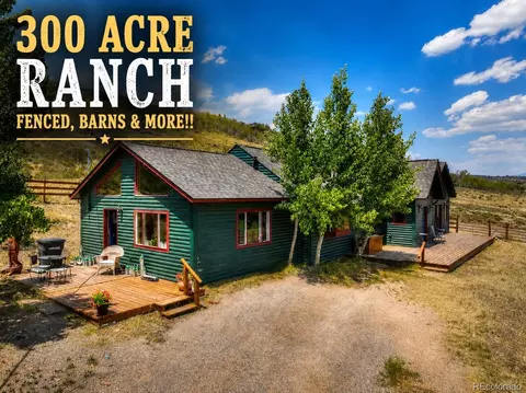 3960 County Road 5, Fairplay, CO 80440
