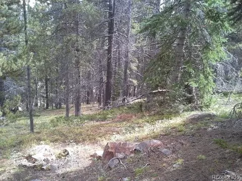 Lot 407 Glory Hole Road, Idaho Springs, CO 80452