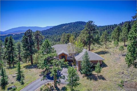 13831 Douglas Ranch Dr, Pine, CO 80470 photo 1
