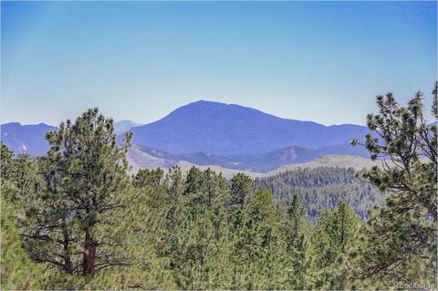 13831 Douglas Ranch Dr, Pine, CO 80470 photo 11