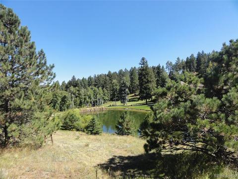 13831 Douglas Ranch Dr, Pine, CO 80470 photo 39