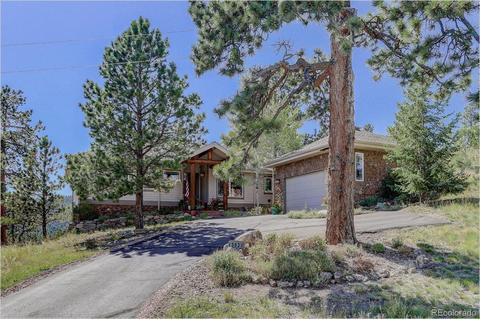 13831 Douglas Ranch Dr, Pine, CO 80470 photo 4
