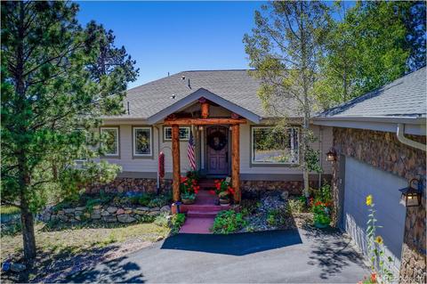 13831 Douglas Ranch Dr, Pine, CO 80470 photo 2