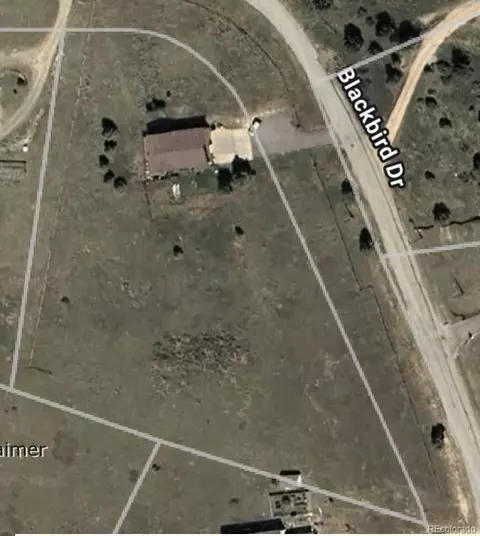 170 Blackbird Dr, Bailey, CO 80421 photo 39