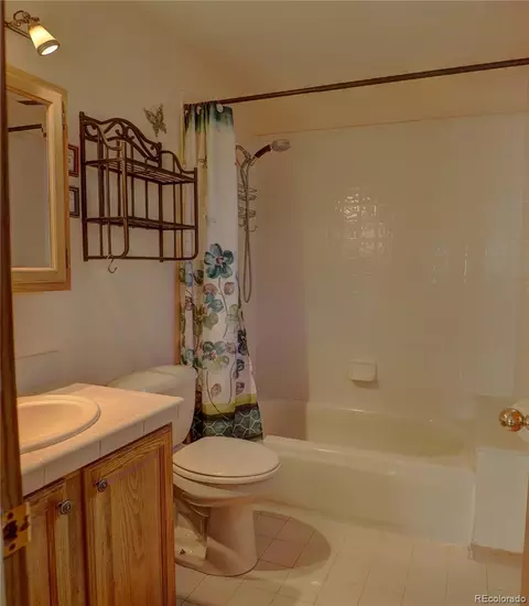 170 Blackbird Dr, Bailey, CO 80421 photo 18
