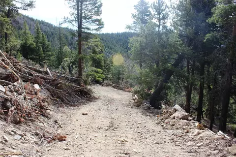 4 Lamertine Rd # -1, Idaho Springs, CO 80452