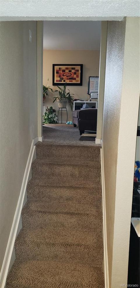 2291 E 83rd Pl, Thornton, CO 80229 photo 24
