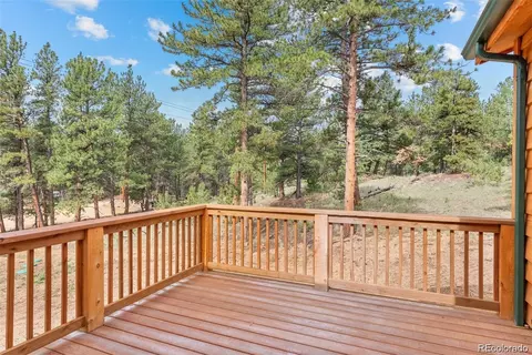 132 Pauls Ln, Bailey, CO 80421 photo 28