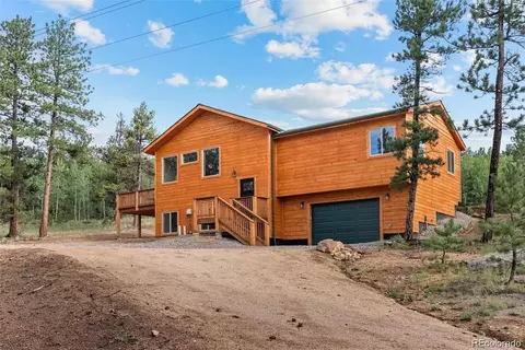 132 Pauls Ln, Bailey, CO 80421 photo 2
