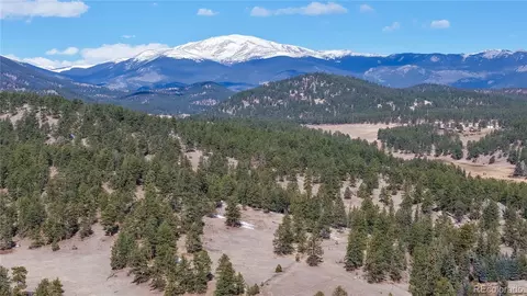 195 Doe Cir, Bailey, CO 80421 photo 28