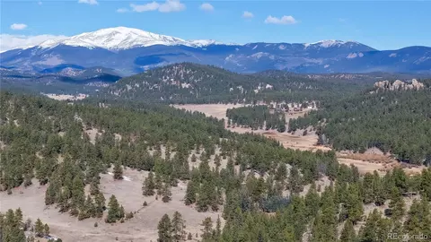 195 Doe Cir, Bailey, CO 80421 photo 27