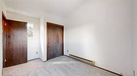 195 Doe Cir, Bailey, CO 80421 photo 15