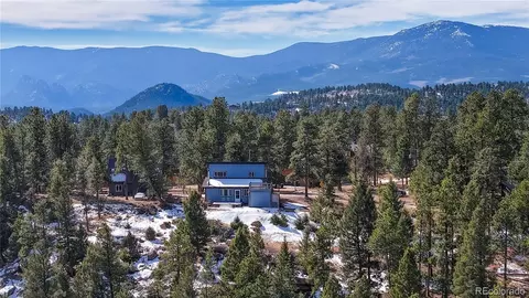 195 Doe Cir, Bailey, CO 80421 photo 8