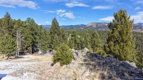 195 Doe Cir, Bailey, CO 80421 photo 26