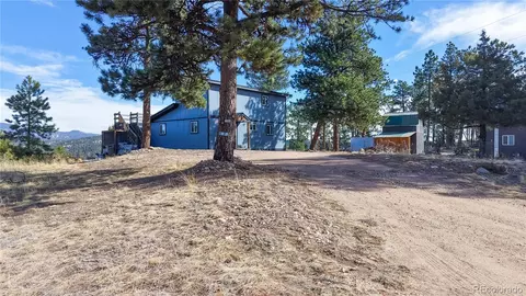 195 Doe Cir, Bailey, CO 80421 photo 23