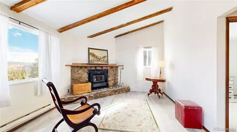 195 Doe Cir, Bailey, CO 80421 photo 10