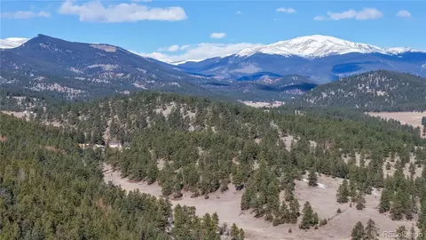 195 Doe Cir, Bailey, CO 80421 photo 9