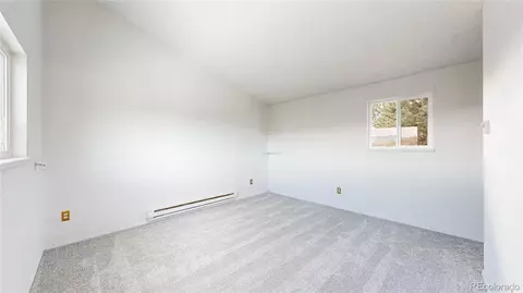 195 Doe Cir, Bailey, CO 80421 photo 16