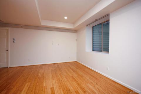 9152 E 29th Pl, Denver, CO 80238 photo 35