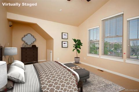 9152 E 29th Pl, Denver, CO 80238 photo 29