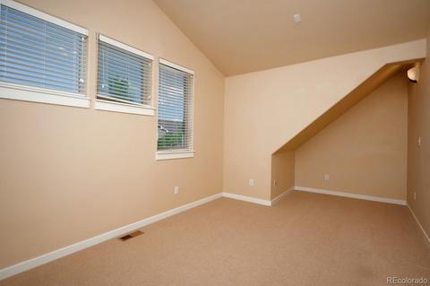 9152 E 29th Pl, Denver, CO 80238 photo 30