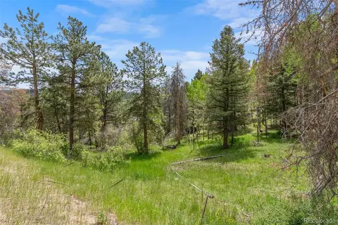 11000 Kitty Dr, Conifer, CO 80433 photo 9