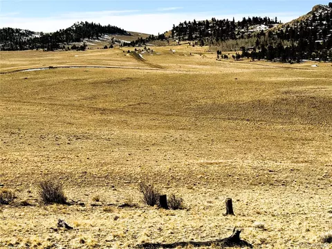 492 Chickamauga Trl, Hartsel, CO 80449