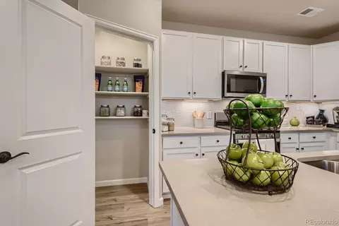 8450 Rizza St #E, Highlands Ranch, CO 80129 photo 11