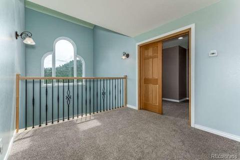 183 Conifer Dr, Bailey, CO 80421 photo 20