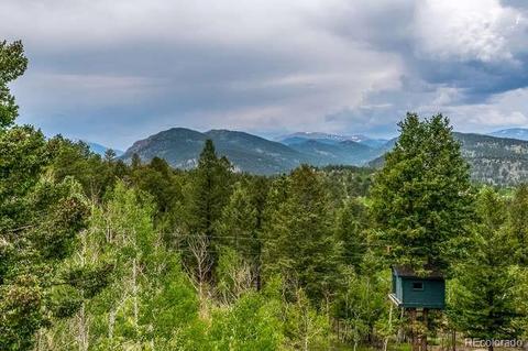 183 Conifer Dr, Bailey, CO 80421 photo 4
