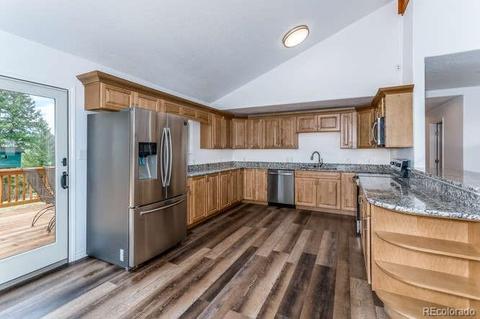 183 Conifer Dr, Bailey, CO 80421 photo 19