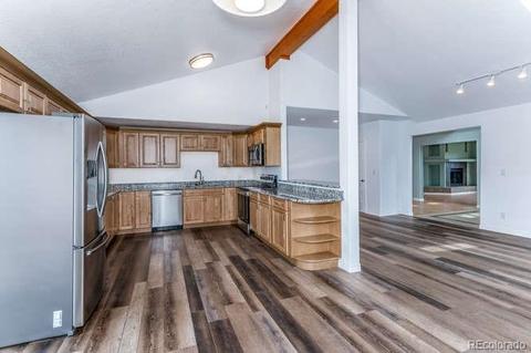 183 Conifer Dr, Bailey, CO 80421 photo 18