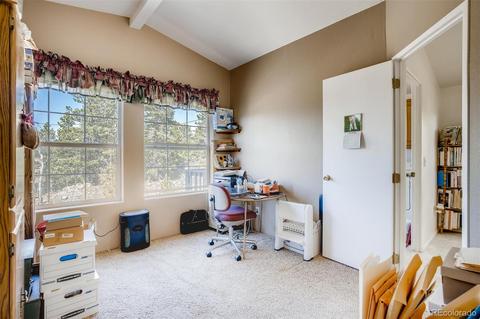 186 Wolf Rd, Black Hawk, CO 80422 photo 14
