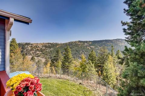 186 Wolf Rd, Black Hawk, CO 80422 photo 7