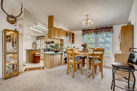 186 Wolf Rd, Black Hawk, CO 80422 photo 9