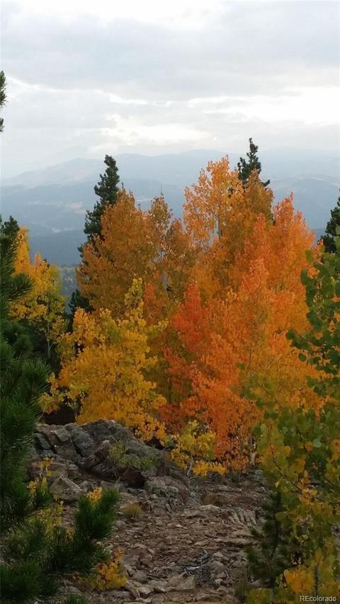 186 Wolf Rd, Black Hawk, CO 80422 photo 26