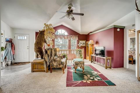 186 Wolf Rd, Black Hawk, CO 80422 photo 5