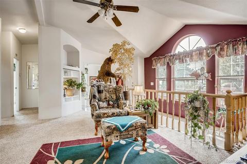 186 Wolf Rd, Black Hawk, CO 80422 photo 8